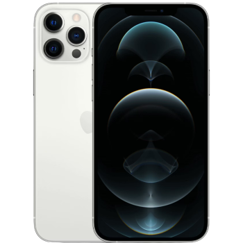 iPhone 12 Pro Max 256 GB Zilver