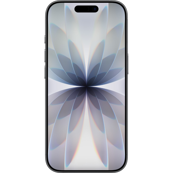 iPhone 17 256 GB Zwart – foto 5